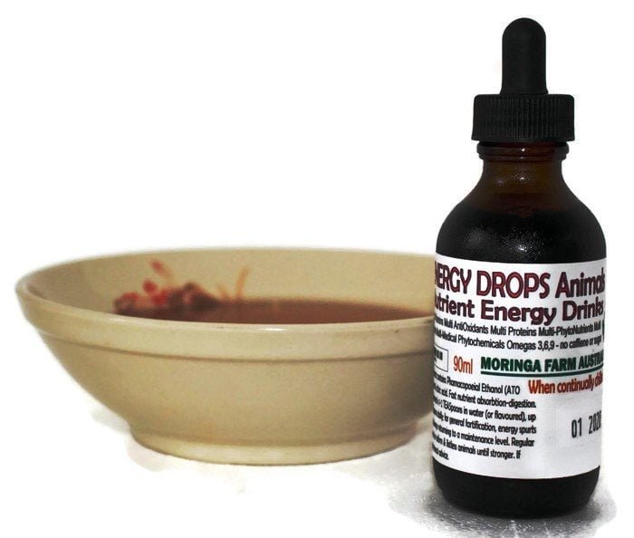 AUSTRALIAN Moringa concentrated DROPS - Dogs, Horses, Ailing Animals ENERGY NUTRIENT Drink 90 ml