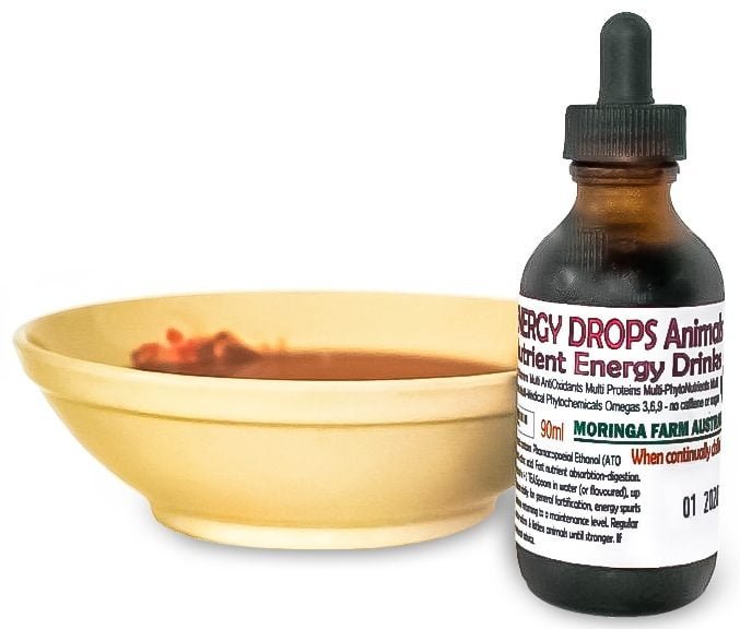 AUSTRALIAN Moringa concentrated DROPS - Dogs, Horses, Ailing Animals