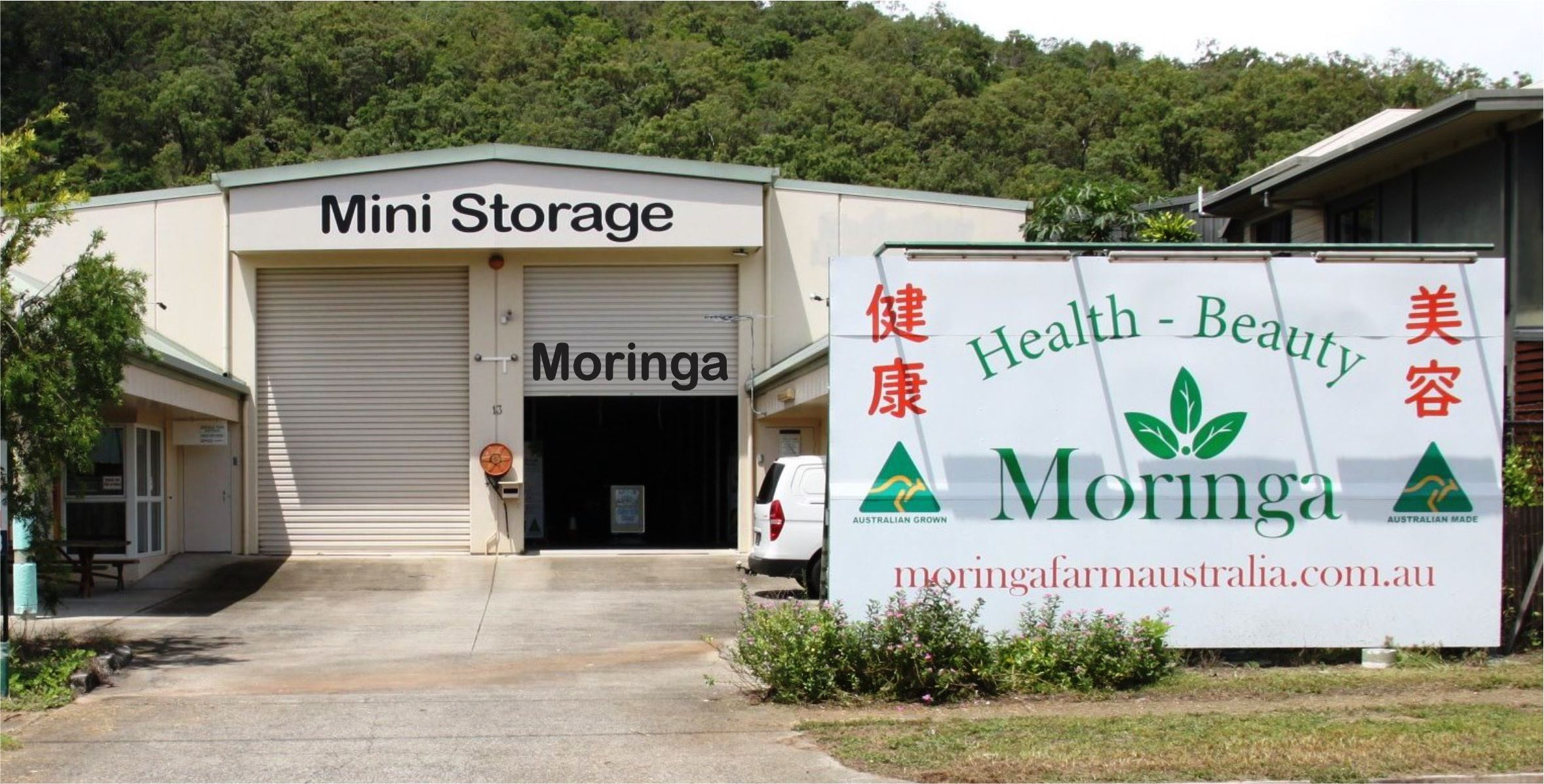 Weekly harvests, Daily Express Posted Australian Moringa, Cairns