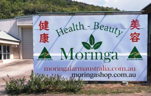 Weekly hand harvested, Daily Express Posted Australian Moringa, Cairns