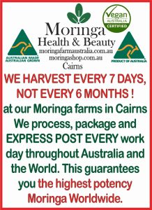 AUSTRALIAN Moringa TEA BAGS. Moringa LEAF with Ginger & Lemon X 12 bags