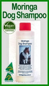 AUSTRALIAN Moringa DOGS & Animal Pets 100G -Anti-Inflammatory, Nutrients