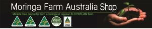 AUSTRALIAN Moringa TEA BAGS. Moringa LEAF with Lemon Grass and Ginger X 24 bags