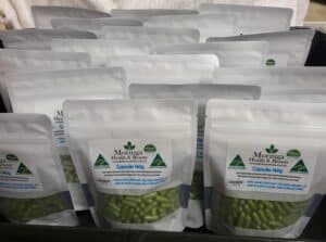 AUSTRALIAN Moringa in VEG. CAPSULES 140G (apprx 265-300 Caps) ONLY DAYS OLD = MAXIMUM POTENCY